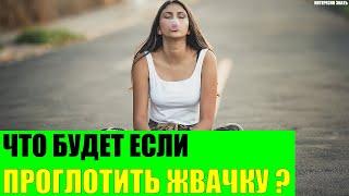 Что будет если проглотить жвачку?