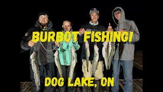 Burbot Fishing!! {Catch, Clean & Cook} Dog Lake, Missanabie, Ontario Canada 7/14 & 7/15 2024