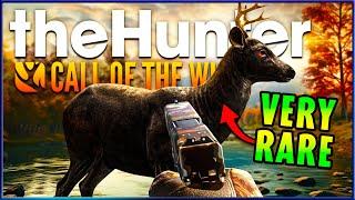 This Crazy Challenge Got Us a SICK Rare! - the Hunter Call of the Wild