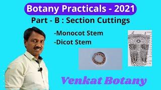 Botany Practicals | Part - B | Section Cutting | Slides Preparation