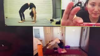 Contortion Training Online Class