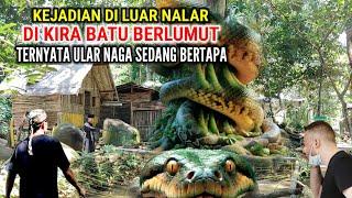 Geger !! Dikira Batu Berlumut Ternyata Ular Naga Raksasa Sedang Bertapa