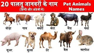 Pet Animals Name | पालतू जानवरों के नाम | Animals Name | Domestic Animals | With Pdf File |
