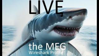 RedBlue Labs LIVE Building "The MEG"