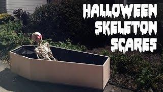 Halloween Skeleton Scares (2018)