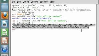 Python [hashlib] 05 SHA512 Hashing