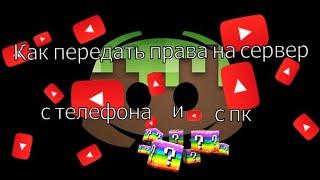 Как передать права на сервер в дискорде на пк и в телефоне / гайд