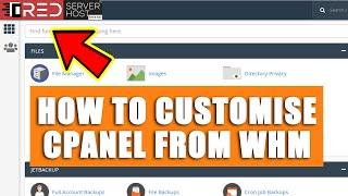 [LIVE] How to customize cPanel under your WHM?
