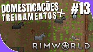 RIMWORLD - SUPER TREINAMENTO E ANIMAIS NOVOS! T2 ep13