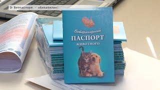 Время местное. Эфир: 05-10-2023- Ветпаспорт- обязателен!