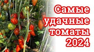 ЛУЧШИЕ СОРТА ТОМАТОВ В 2024 году, 2 часть обзора