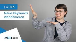 Sistrix Neueinsteiger-Keywords identifizieren mit dem Sichtbarkeitsindex: So funktioniert‘s