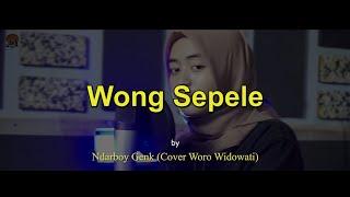 Wong Sepele - Ndarboy Genk (cover Woro Widowati)