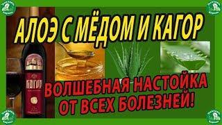 АЛОЭ(aloe) С МЁДОМ И КАГОР-ВОЛШЕБНАЯ НАСТОЙКА ОТ ВСЕХ БОЛЕЗНЕЙ!