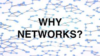 Network Theory: The study of relationships