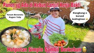 Panen Yg Ada Di Kebun Lanjut Kerja Bakti!! Kelaparan Langsung Hotpotan 