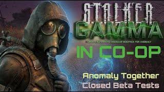 GAMMA in CO-OP Tested | Anomaly Together