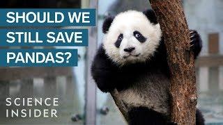 Pandas Are Overrated — Here's Why