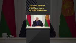 “В Беларуси тайной это не будет!”А. Лукашенко жестко высказался о коррупции #shorts #short #новости