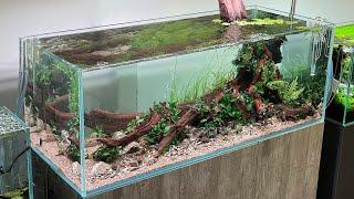 UK AQUASCAPING STORE - NEW 125 GALLON AQUASCAPE