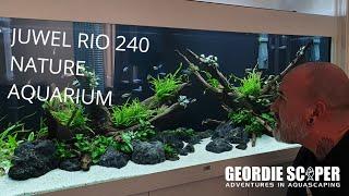 JUWEL RIO 240 LOW TECH NATURE AQUARIUM (LOW LIGHT & NON CO2) 2020