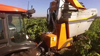 Tow Behind Harvester - GRAPES'LINE