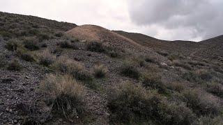 Look What I Came Across Exploring a Desert Trail I Have Never Been on Before