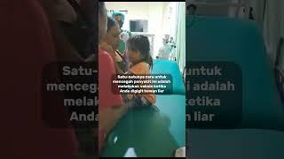 APAKAH PENYAKIT RABIES BISA DI SEMBUHKAN???