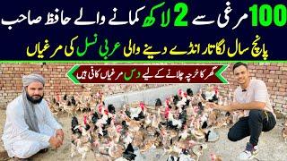 Poultry farm business plan | desi hen farming at home | dandarawi chicken breed | Golden misri