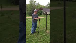 Easy fence post removal with only a shovel