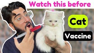 Cat Vaccination Schedule | Everything You Should Know | Cat Vaccination price in Pakistan 2024