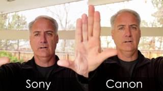 Canon Dual Pixel vs Sony Auto Focus