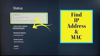 Google TV : How to Find IP Address and MAC Address