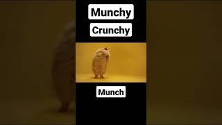 MUNCHY CRUNCHY MUNCH MUNCH MUNCH #shorts