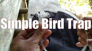 Simple Bird Trap Using Fishing Line