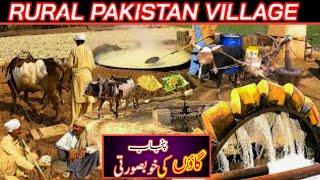 Traditional Village Life In Punjab Pakistan | Rural Village Life