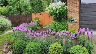 Mid July Garden Tour & Walkabout with Ruko Drone Footage // Suburban Oasis