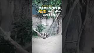      Bhaisa sex  #fanny#shorts #trending #komedy#masti#hahaha#hasi#