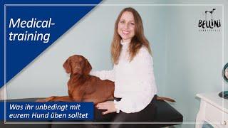 Medical-Training: Was ihr unbedingt mit eurem Hund üben solltet