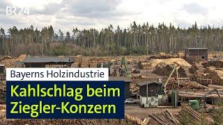 Bayerns Holzindustrie: Kahlschlag beim Ziegler-Konzern | BR24