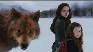 Ya lili _ Twilight saga breaking down Last fight