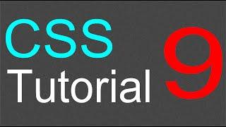 CSS Tutorial for Beginners - 09 - The Font Weight Property