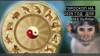 2024–2028 ГОДЫ-ГОРОСКОП И ФЕН-ШУЙ ДЛЯ РОЖДЕННЫХ В ГОДЫ ОБЕЗЬЯНЫ