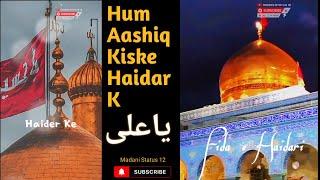 Ali Maula Sher-e-Khuda WhatsApp Status #haider Video #ali #karbala #shorts