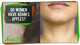 Do Women Have Adam's Apples?