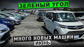 Зеленый Угол 2024 Народные Авто из Японии Дорого ли??