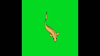 2D ANIMATION FISH SWIMMING GREEN SCREEN #shorts