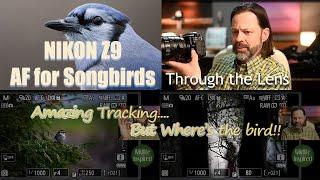 The Nikon Z9 for Songbirds, Amazing Autofocus Tracking, with a Fatal Flaw?