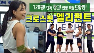 [드랍인] 박스 진짜 크다!! 이름처럼 코끼리만함!! 평택 크로스핏 엘리펀트 다녀왔습니다 / #crossfit #크로스핏 #드랍인