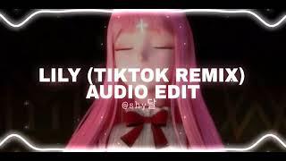 lily (tiktok remix) - alan walker [edit audio]